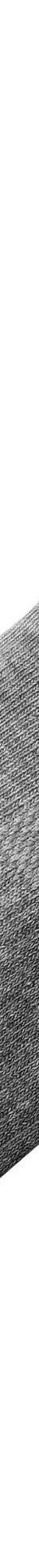 Chaussettes basses matelassées quarter - lot de 3 paires (gris chiné) Chaussettes basses matelassées quarter - lot de 3 paires (gris chiné)